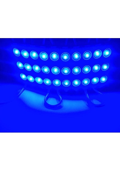 Mavi Modül Mercekli 3 Ledli Kablolu Parmak Led 12 V 5 Adet