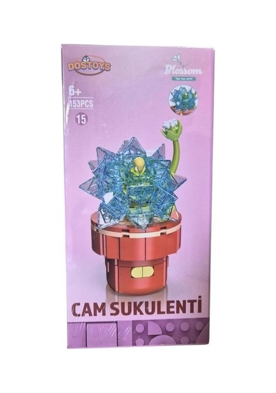 Blossom Cam Sukulenti Çiçek 153 Parça