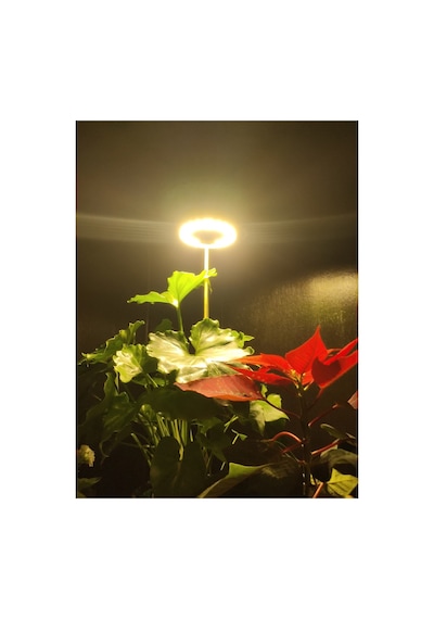 Bitki Geliştirme Led Lamba 5v Usb Tam Spektrumlu Bitki Yetiştirme Led Lamba Melek Halka Günışığı