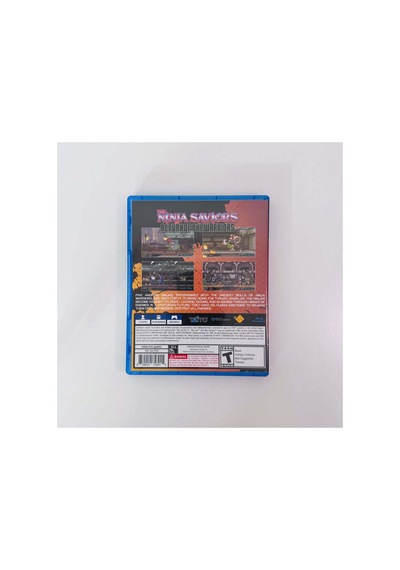 Ninja Saviors: Return Of The Warriors Playstation 4