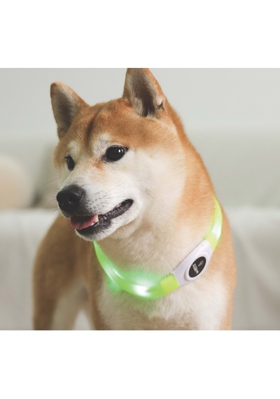 M-pets Flash Led Boyun Tasma Green S