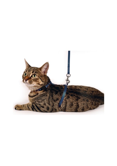 Karlıe - 275 - Kedi Göğüs Tasması - Kmrsfres - Mavi 110