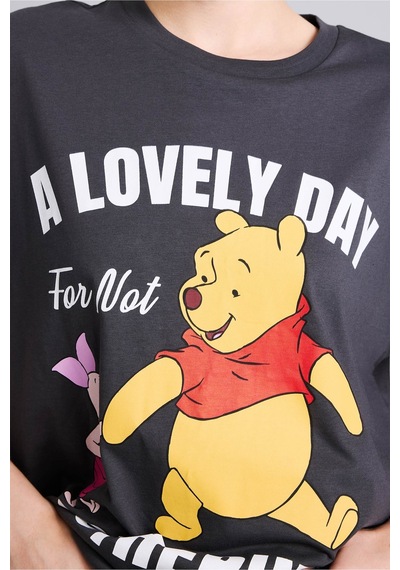 Defacto Disney Winnie The Pooh Ve Piglet Baskılı Oversize Bisiklet Yaka Kısa Kollu Tişört I5445ax26hsar191 Antrasit-ar191