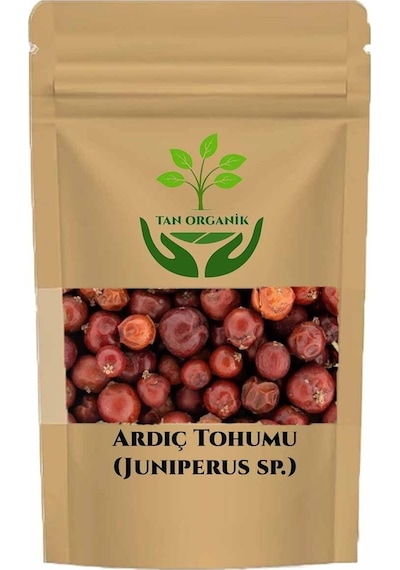 Ardıç Juniperus Communis Tohumu Kırmızı 40 Gr