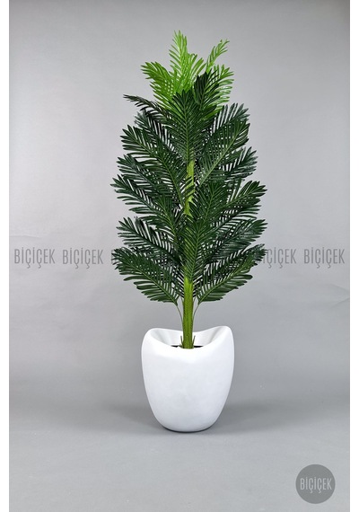 Yapay Areka Ağacı 160-180 Cm Diğer