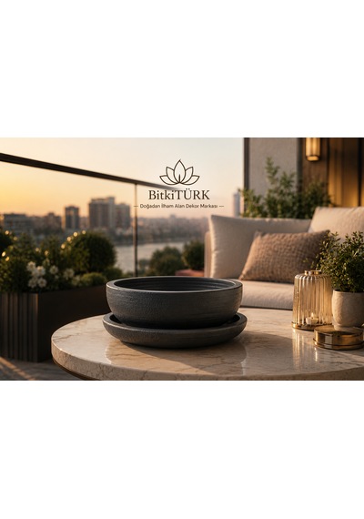 Dekoratif Beton Saksı Ve Altlık Seti 20 Cm El Yapımı Bonsai Saksısı Sukulent Saksısı İç Mekan Çiçek Saksısı -