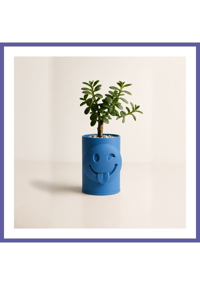 Bezos 3d Baskı Emoji Planter - Göz Kırpan Yüzlü Sukulent Saksısı-mavi Nıda