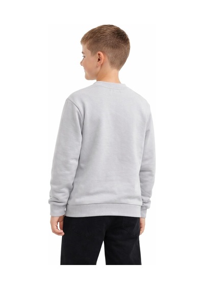 Baglan Erkek Çocuk Önü Baskılı Sweatshirt Bgl-st05238 Gri