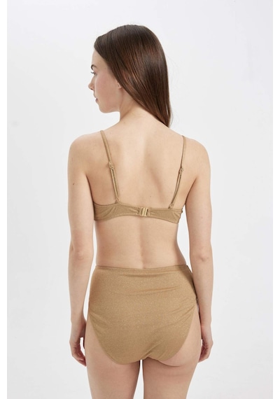 DeFacto Regular Fit Parlak Kumaş Yüksek Bel Bikini Altı-Fall in Love C3180AX24SMYL275