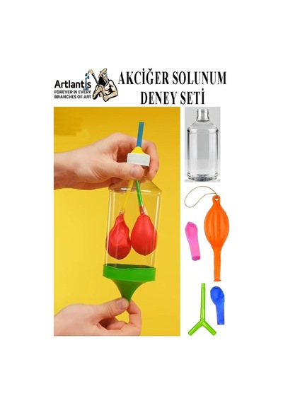 Akciğer Solunum Deney Seti 1 Adet Kutulu Plastik Şişe Y Borusu Balon Tıpa Akciger Model Yapımı Deney Fen