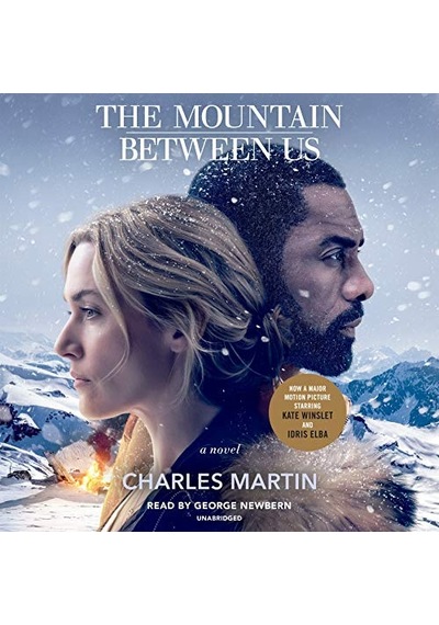 The Mountain Between Us: A Novel