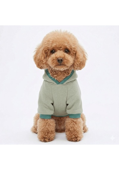 Açık Yeşil Kanguru Cepli Kedi-köpek Hoodie- Sweatshirt Kedi Köpek Kıyafeti