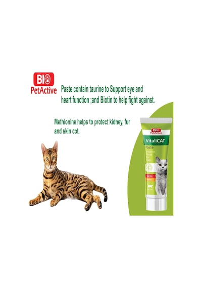 Vitalicat Kediler İçin Vitamin, Macun Paste , 100 Ml