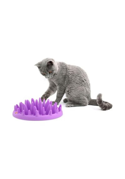 Catch Etkileşimli Yavaş Kedi Besleyici