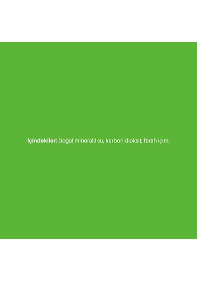 Nabeghlavi Doğal Mineralli Su 500 ML 12'li Koli