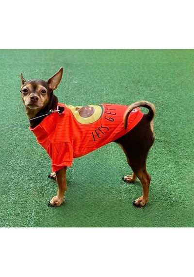 Avocado Neon Turuncu Esnek Küçük Irk Köpek T-shirtü 1 Kg-12 Kg Arasına Uygun Bedenlerde