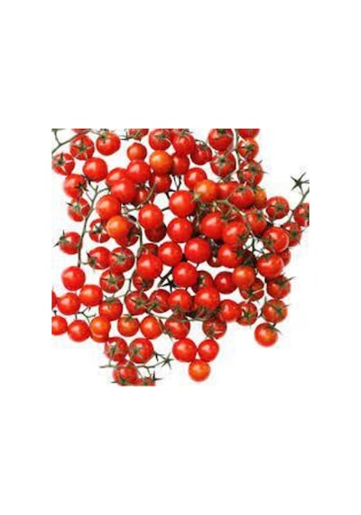 50 Adet Tohum Nadir Ithal Cherry Minik Bezelye Domates Tohumu Sürpriz Hediye Tohum..