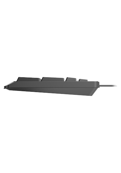 Philips SPK6207 Kablolu Türkçe Q Klavye Siyah
