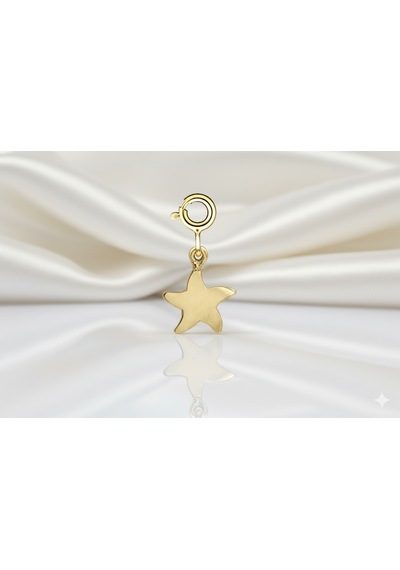 Ariş Yıldız Charm Altın Kolye Ucu N11.20498