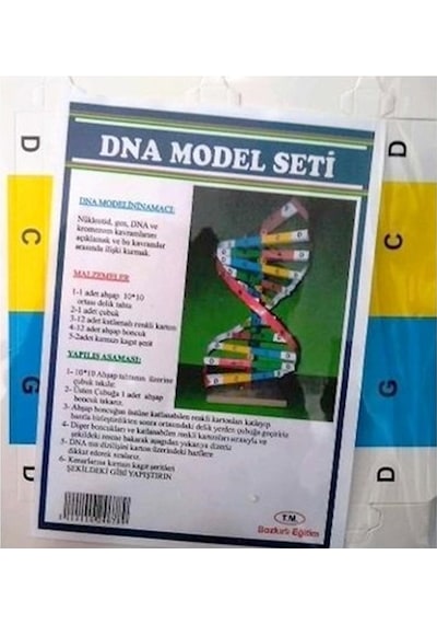 Dna Model Yapım Deney Seti