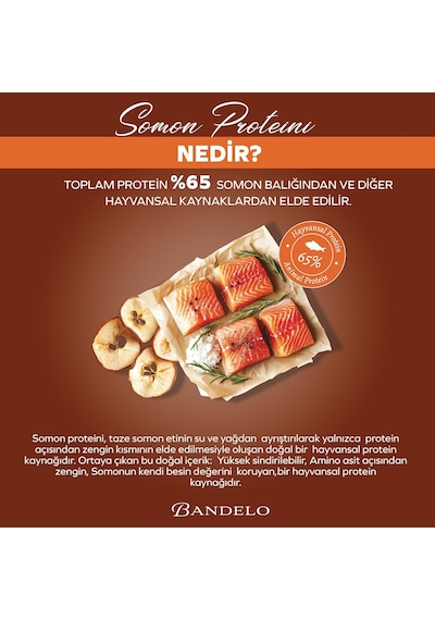 Tr Kısırlaştırılmış Somonlu Yetişkin Kuru Kedi Maması 2 Kg - Vitamin İlaveli Tam Ve Dengeli Kilo Kontrolü, Y