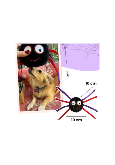 Havhav Halloween Temalı Köpek Oyuncak  Seti