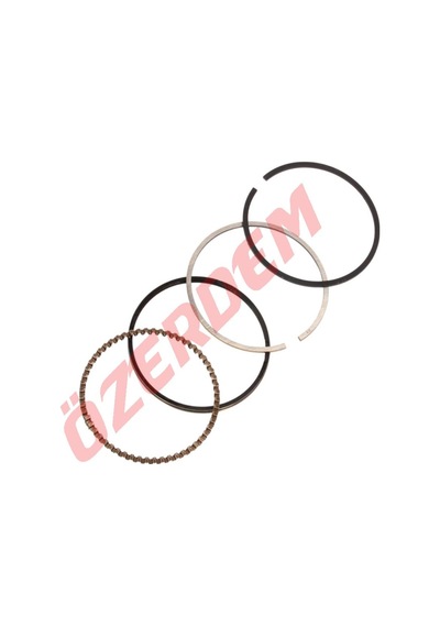Cg Model Sekman Std 56,50 Mm