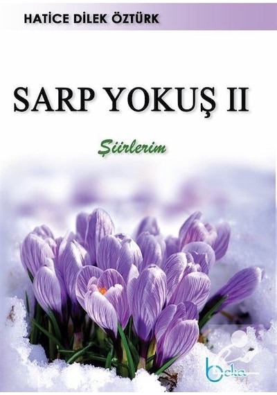 Sarp Yokuş 2 / Hatice Dilek Öztürk