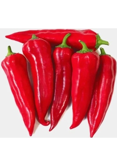 Kaliteli Maraş Biber Tohumu - Çoklu Kullanım - 5 Gram