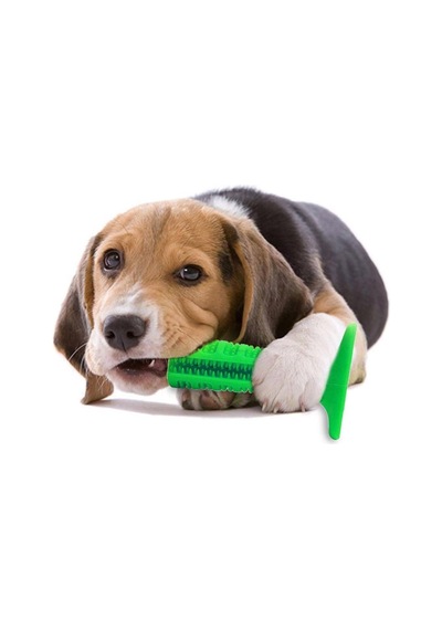 Köpek Diş Fırçası Isırma Diş Temizleme Çubuk Oyuncağı Pet Oyuncak N11.998