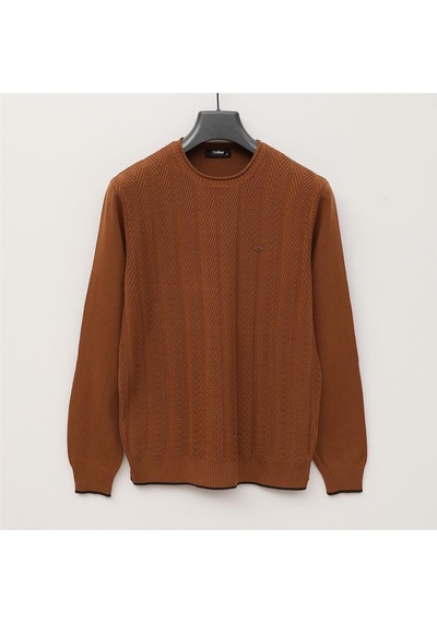 Dio Rise Erkek Uzun Kol İnce Sweatshirt - 189398 - Hardal HARDAL