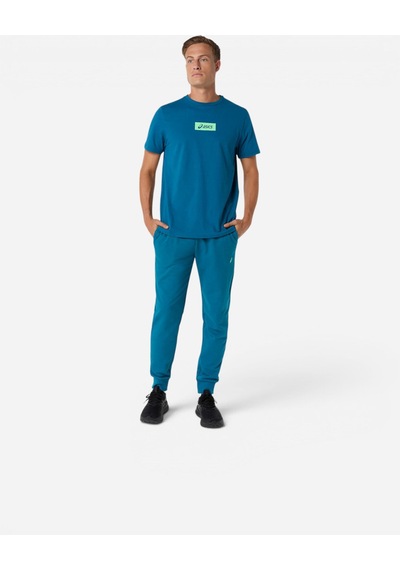 Asics Asıcs Chest Logo Tee Erkek Yeşil Kısa Kollu Tshirt 2031f333-400