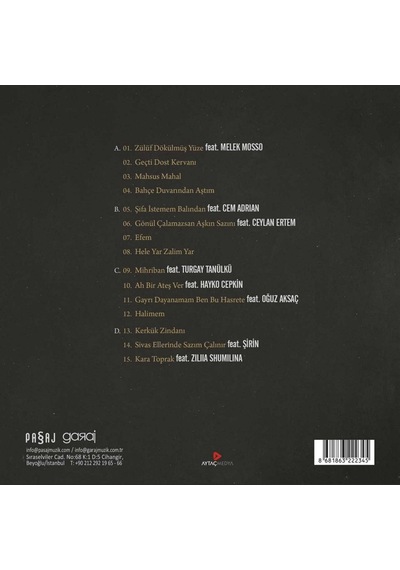 Plak - Haluk Levent - Vasiyet 2Lp