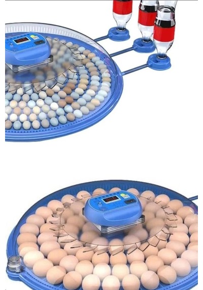 Kuluçka Makinesi Çift Viyollü 80-240 Yumurta Kapasiteli Tavuk Kaz Bıldırcın Bx-316170