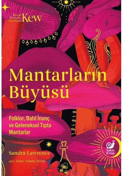 Mantarların Büyüsü
