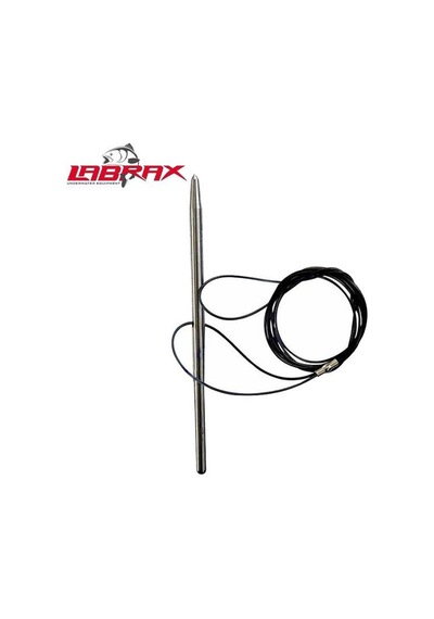 Labrax Balık Dizgisi Bronz