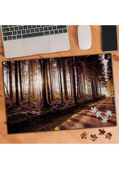 Ormanda Ağaçların Arasından Süzülen Güneş Işığı 240 Parça Puzzle Yapboz-1869090