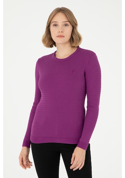 U.S. Polo Assn. Kadın Violet Bisiklet Yaka Basic Kazak 50288979-VR203