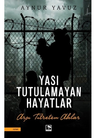 Yası Tutulamayan Hayatlar - Aynur Yavuz - Çınaraltı Yayınları