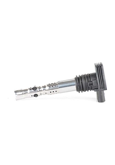 Bsg Atesleme Bobını Zse043 / 20113 - Passat-a4-a6 01-04