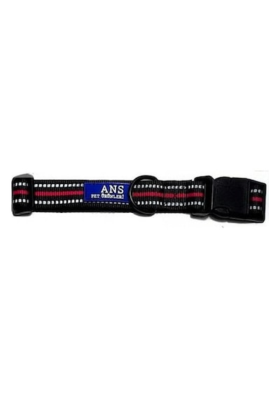 Ans Köpek Boyun Tasması 2.5 CM Genişlik- Boynu 46-55 CM
