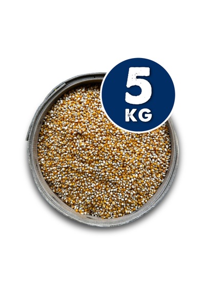 Kanıtemiz Patlayan Mısır 5 Kg