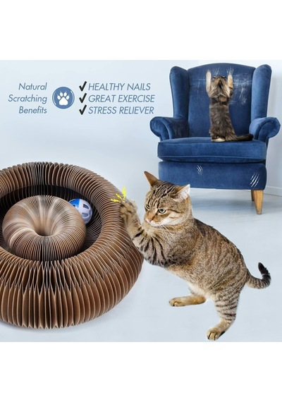 Kedi Tırmalama Oyuncağı İnteraktif Katlanabilir Catnipli Akordeon Tasarım, Toplu & Zeka G