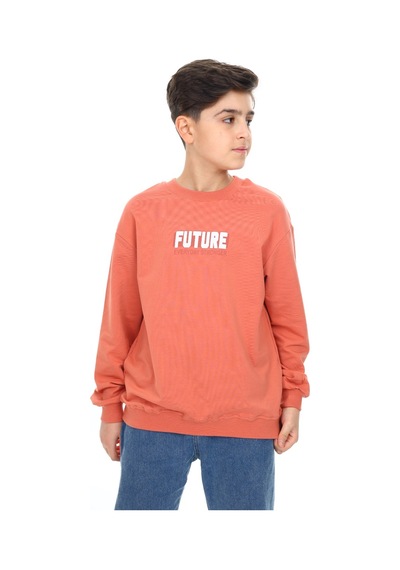 Toontoy Erkek Çocuk Baskılı Sweatshirt Kiremit