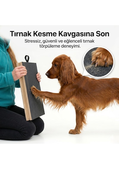 Kedikür Köpekür Köpekler İçin Tırnak Törpüleyen Tırmalama Ve Eğitim Tahtası Ahşap