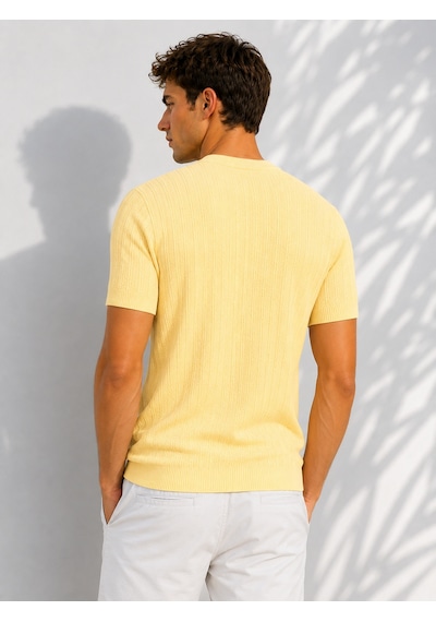 Ribana Erkek Bisiklet Yaka Kısa Kollu Esnek Örme Triko T-shirt 26091 Sarı
