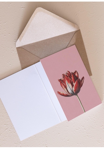 The Mia Art Line Mini Tebrik Kart Seti Tulip10 X 14 Cm