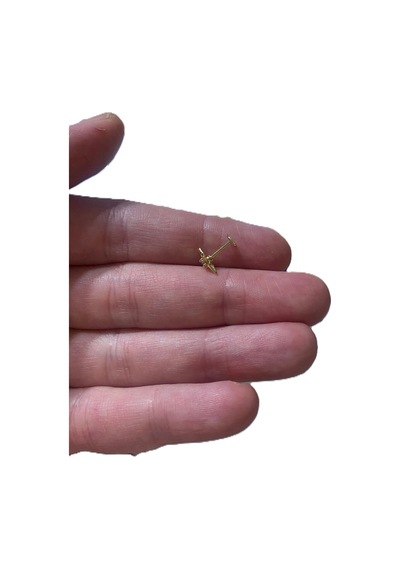 Minimal Kutup Yıldızı Kıkırdak Tragus Helix Pearsıng Küpe 316l Çelik Altın