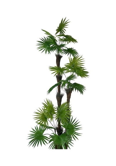 Yapay Ağaç Palmiye Fanpalm 3katlı 24yaprak Siyah Plastik Saksıda 165 65cm