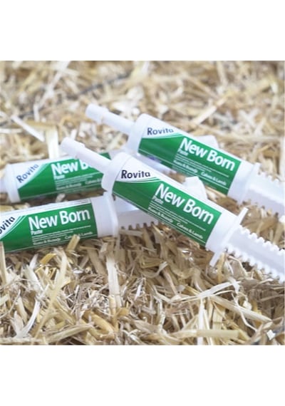 Rovita New Born Paste 20 Ml Kuzu Buzagı